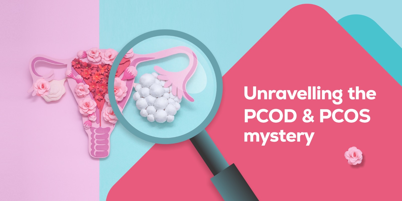 Unravelling the PCOD & PCOS Mystery