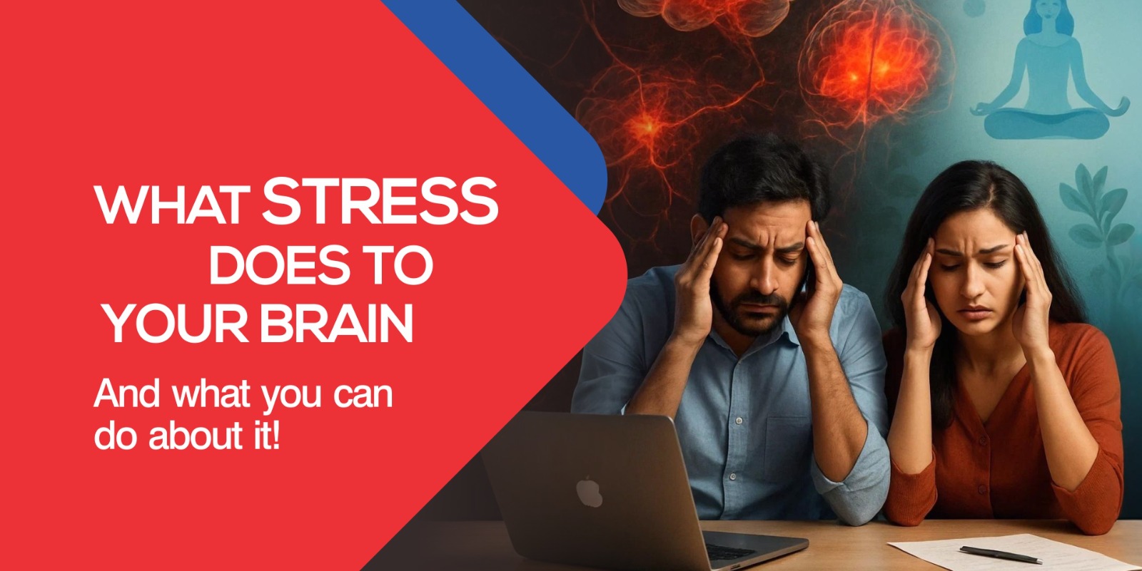 WHAT STRESS DOES TO YOUR BRAIN- And what you can do about it!