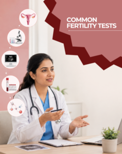 Common Fertility Tests